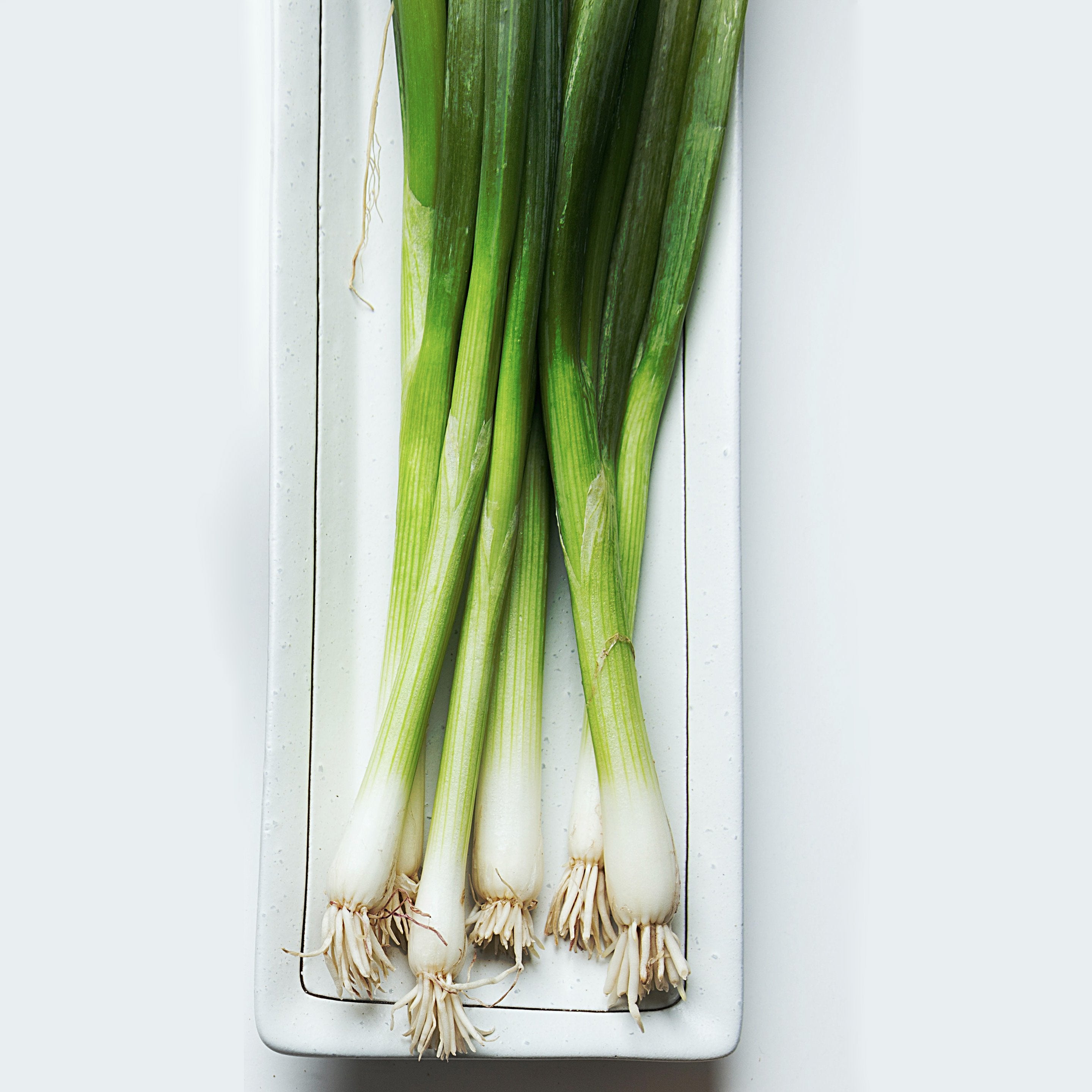 CITRONNELLE - Herbes