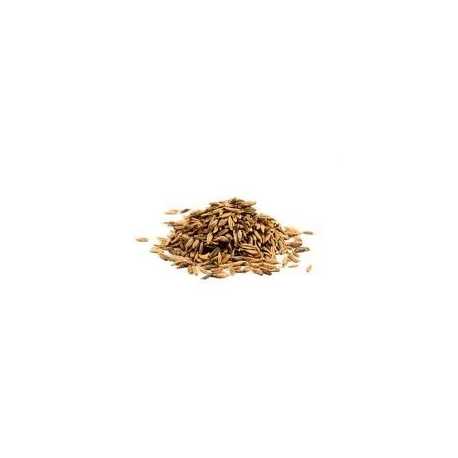 Cumin grain - Épice