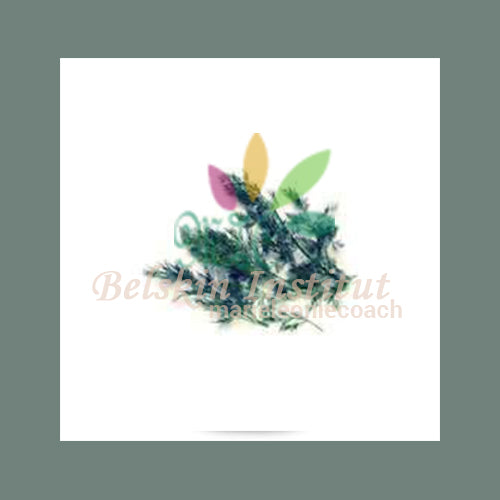 Fenouil feuille - Herbe