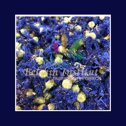 Fleurs de Bleuet