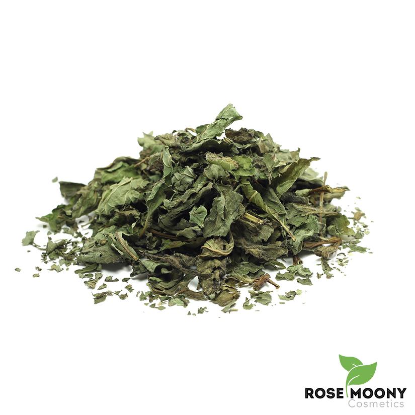 Menthe feuille moulue (hierbabuena) - Herbes