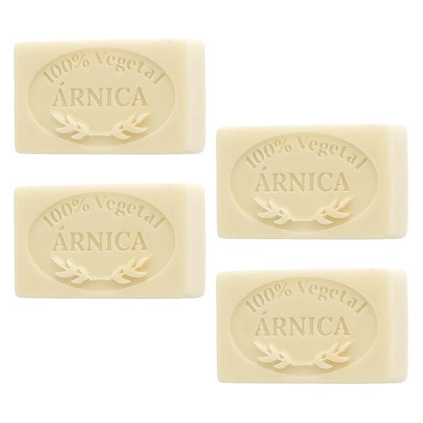 MOULE À SAVON À L'ARNICA