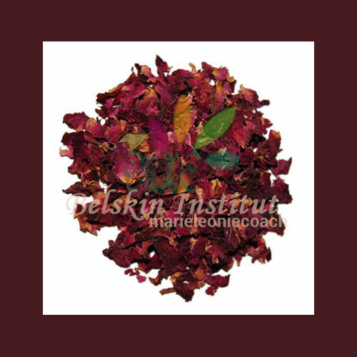 Pétales de rose - HERBES