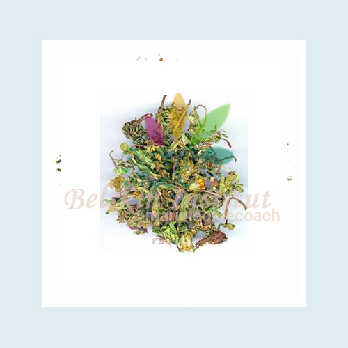 Pissenlit - HERBES