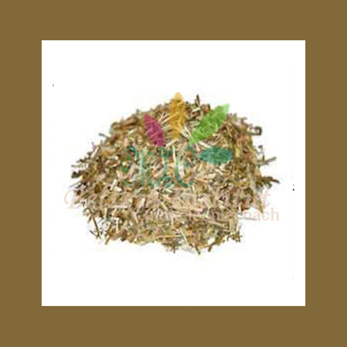 Plantain - HERBES